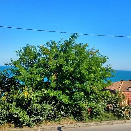 Blue Sunrise 호텔 골든샌드